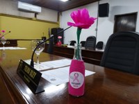 Câmara acolhe campanha “Outubro Rosa”