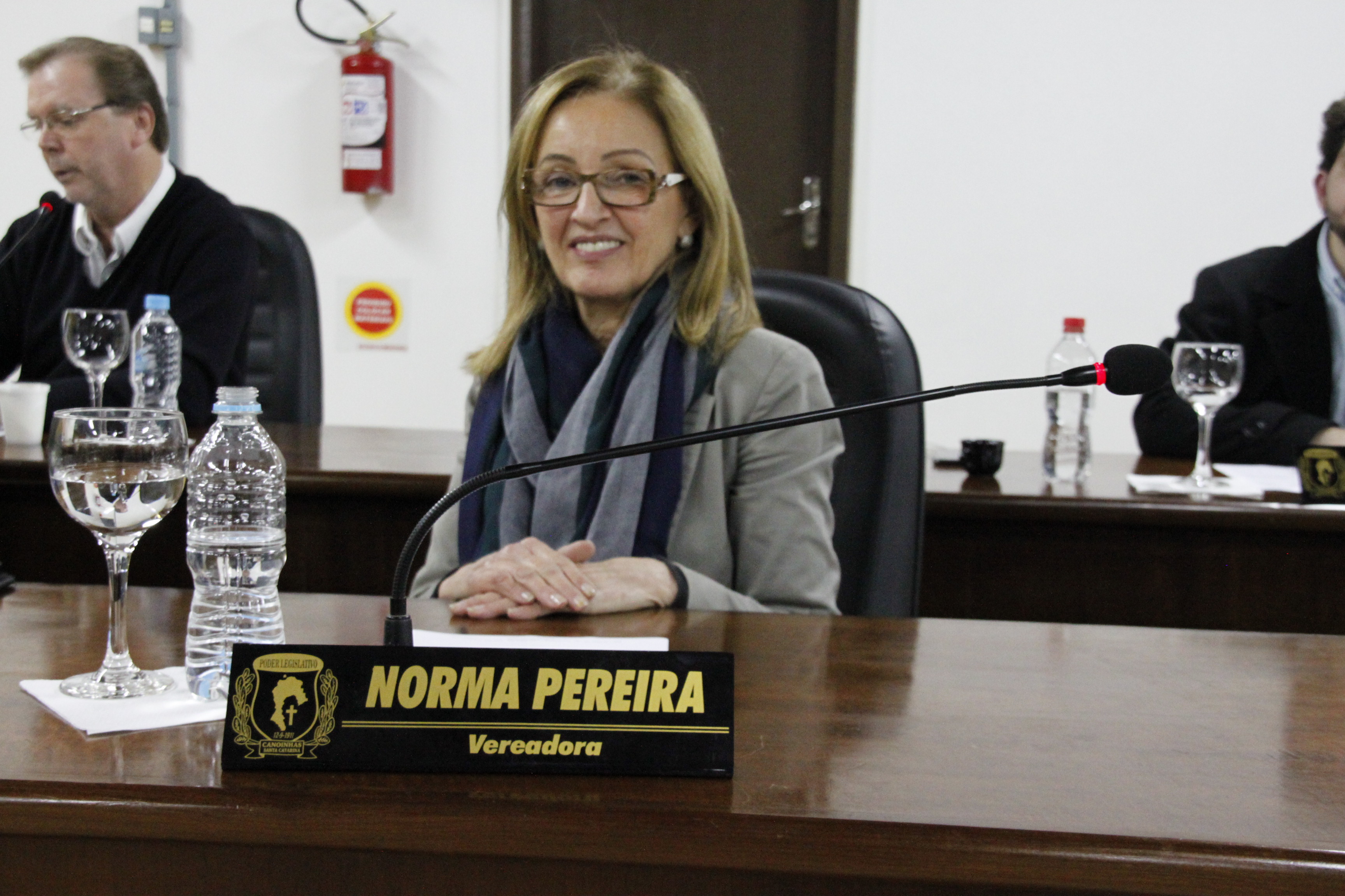Norma Pereira solicita informações sobre melhorias na Praça João XXIII do Alto das Palmeiras