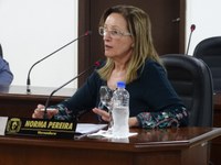 Norma Pereira solicita recursos a deputados federais