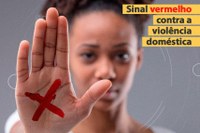 Vereador Paulinho Basilio sugere adesão à Campanha Sinal Vermelho Contra Violência 
