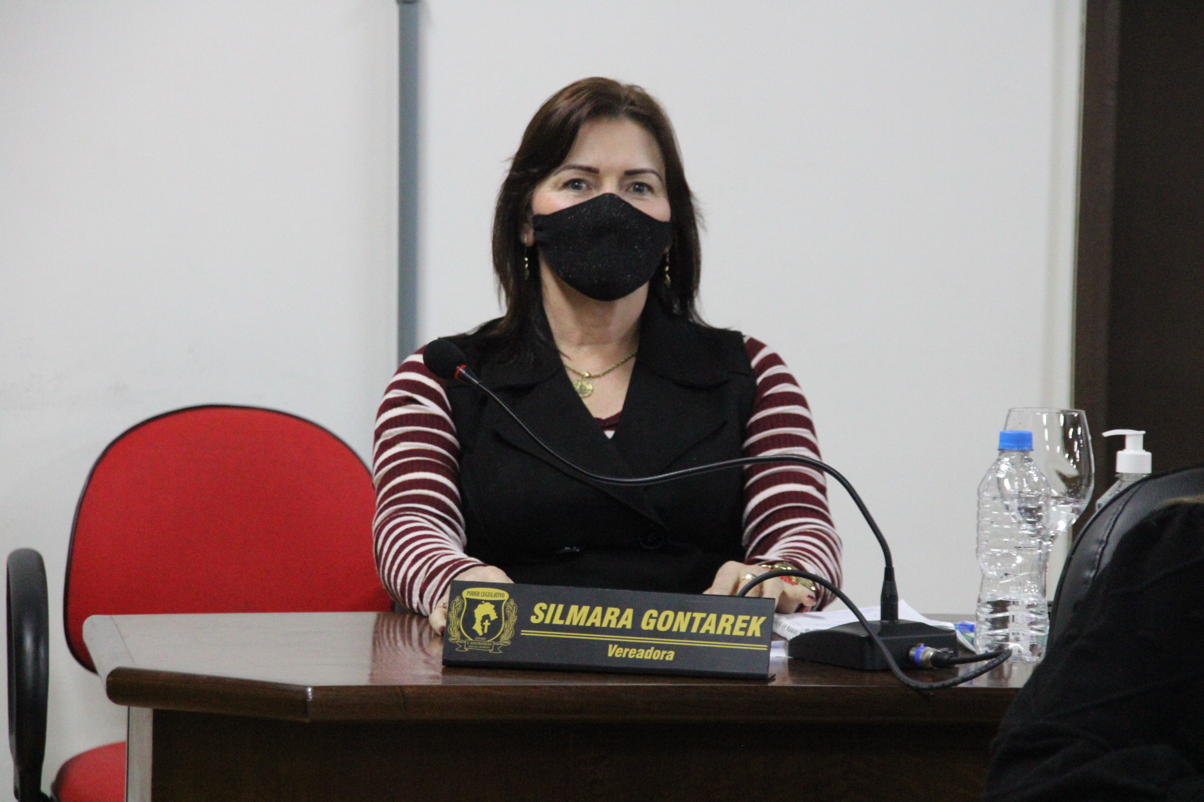 Vereadora Silmara Gontarek em sessão solicita verba para Deputado